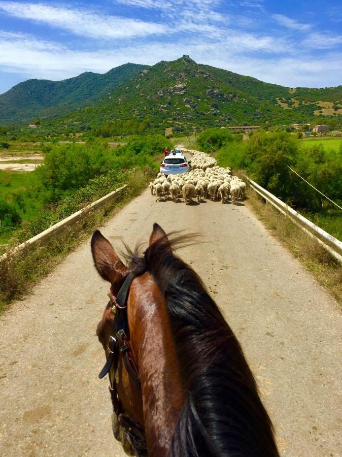 Penzion I Carrubi San Priamo Exteriér fotografie