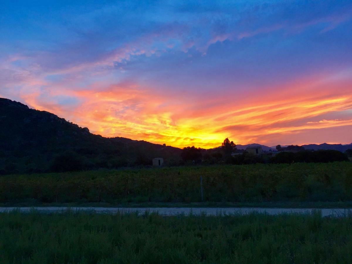 Penzion I Carrubi San Priamo Exteriér fotografie